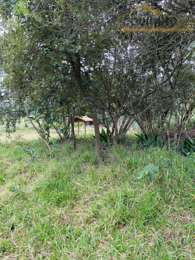 WhatsApp Image 2025-04-23 at 14.26.50 (1).jpeg